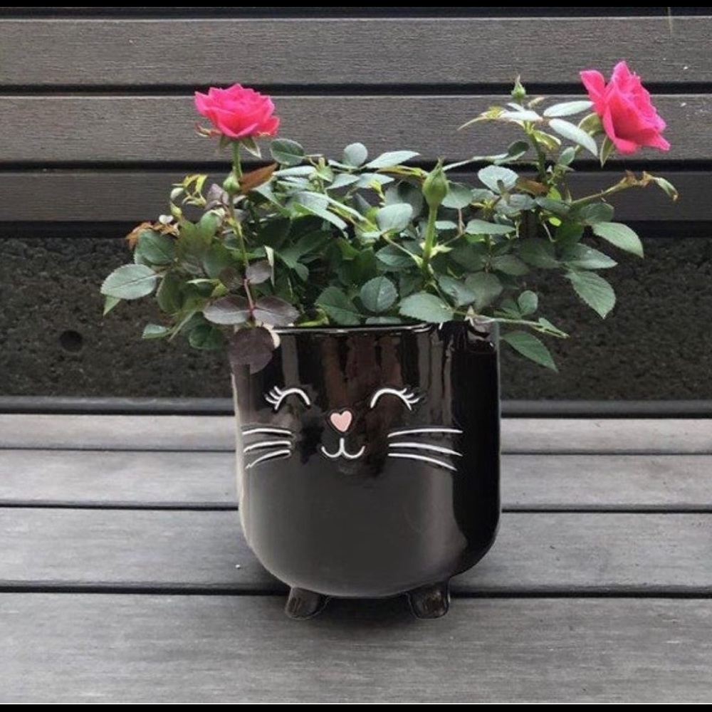 Cat Planter
